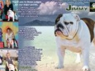Jimmy Jimmy